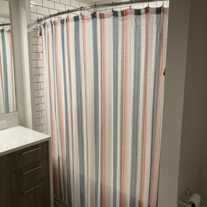 Shower curtain and hooks
